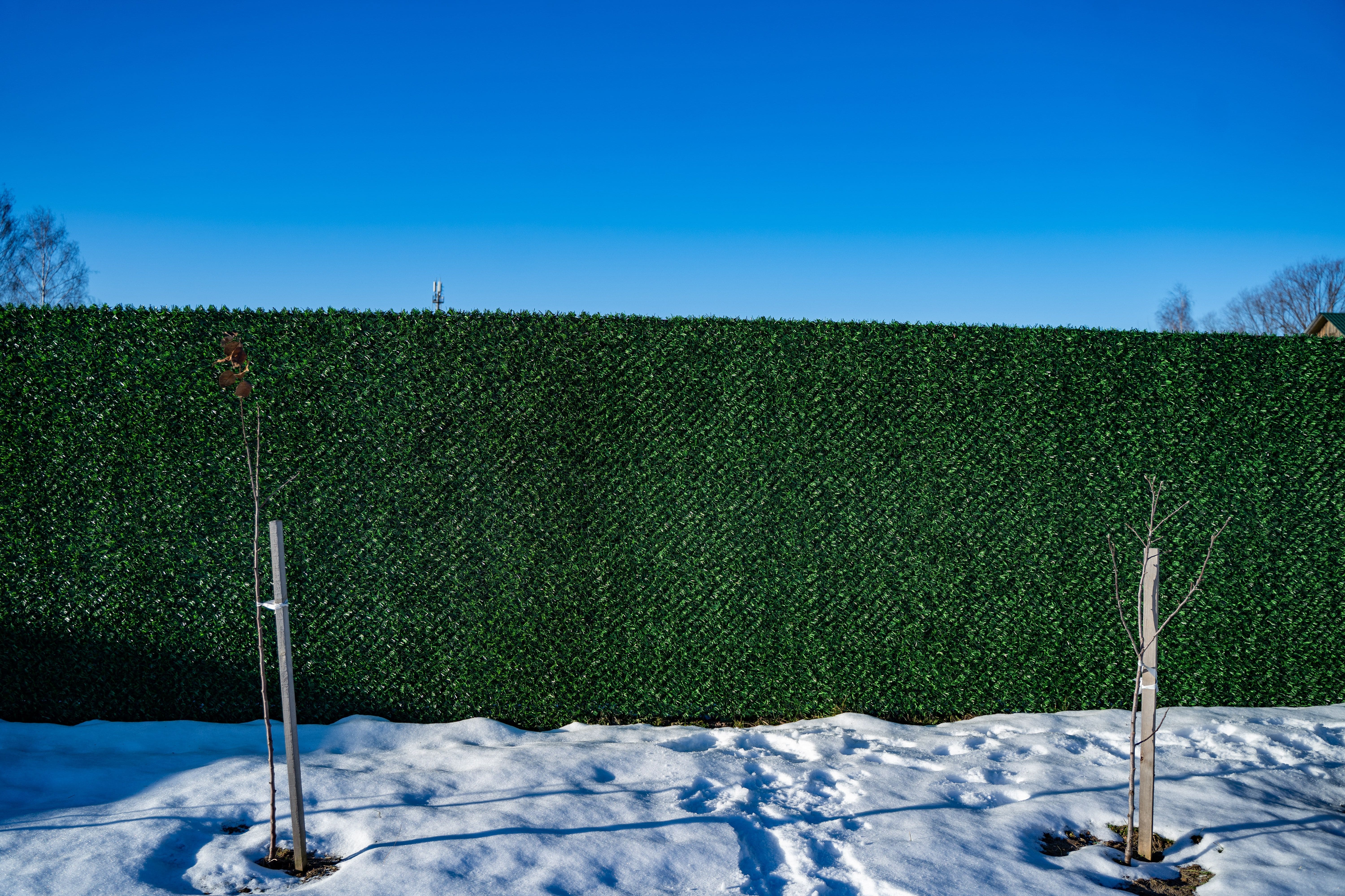 Вечнозеленый забор Grass Fence рулон 2м фото 8 в Краснодаре