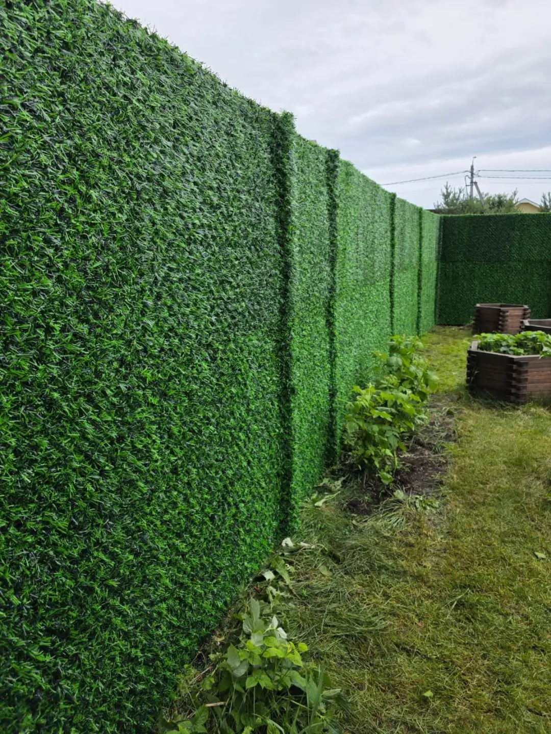 Вечнозеленый забор Grass Fence 37м фото 1 в Краснодаре